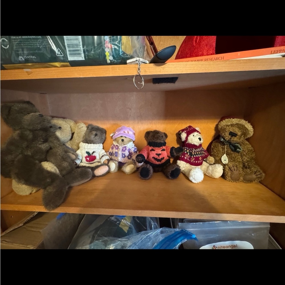 Boyds bears lot of 7 bears